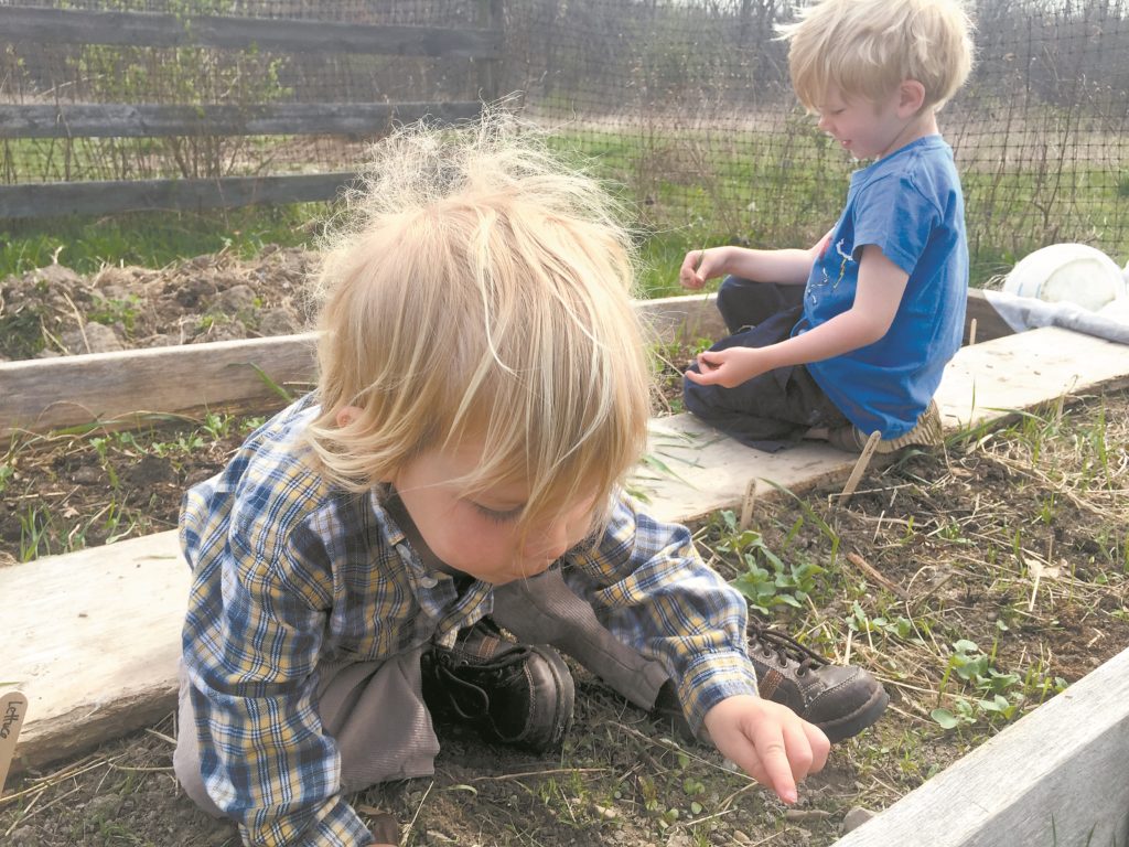 Two young, blonde-haired kids, sitting in a garden bed.